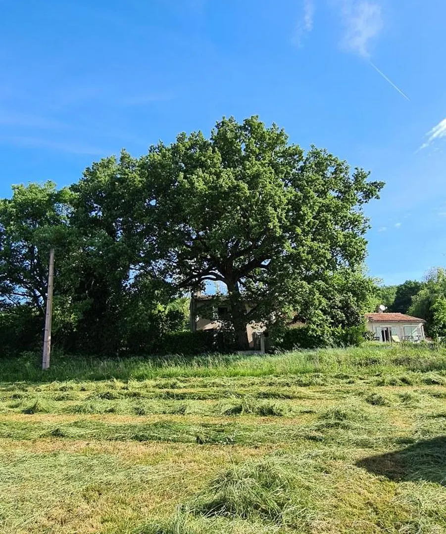 Mas Crudel - Maison De Caractere Parisot  Casa de Férias
